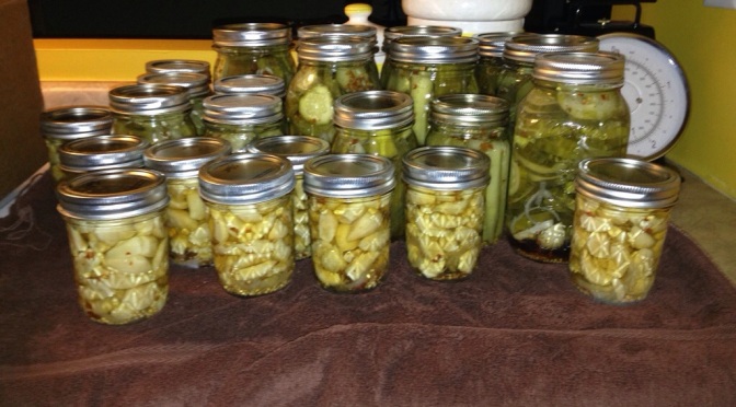 Pickling day! Plus a little about my Mary